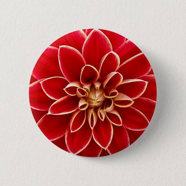 Bright Red Dahlia 2 Inch Round Button (Front)