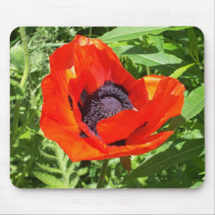 Bright Red Flower On Green Mouse Pad