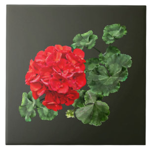 Bright Red Geranium Tile