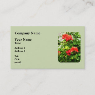 Bright Red Geraniums Business Card