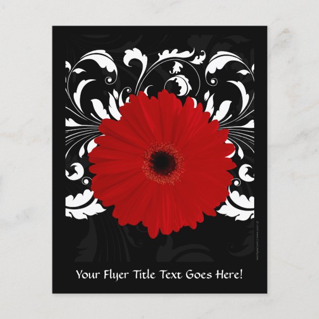 Bright Red Gerbera Daisy on Black Flyer (Front)