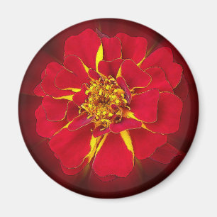bright red marigold magnet