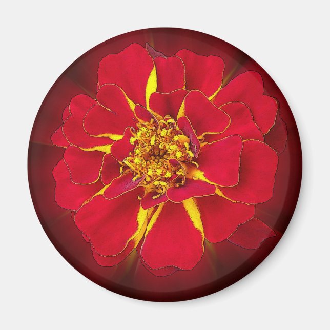 bright red marigold magnet (Front)