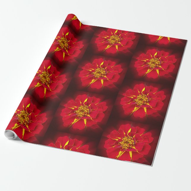 bright red marigold wrapping paper (Unrolled)