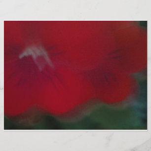 Bright Red Modern Flowers photography