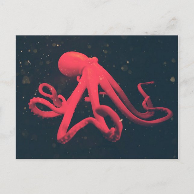 Bright Red Octopus Postcard (Front)