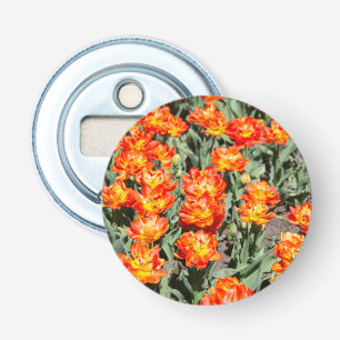 Bright red-orange ginger tulips  bottle opener