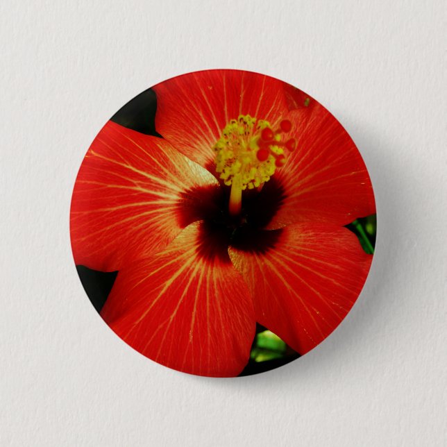 Bright Red Orange  Hibiscus Flower 2 Inch Round Button (Front)