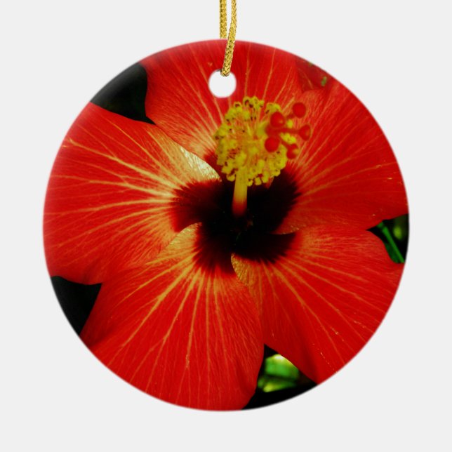 Bright Red Orange  Hibiscus Flower Ceramic Ornament (Front)