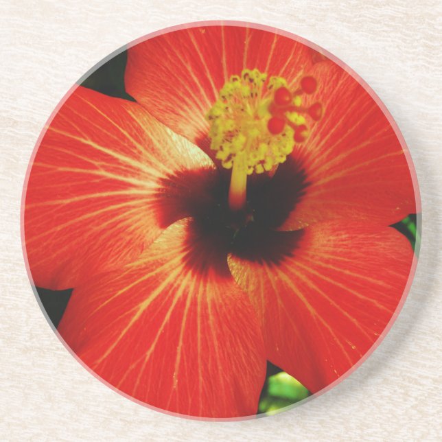 Bright Red Orange  Hibiscus Flower Coaster (Front)