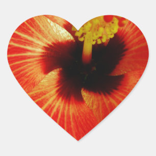Bright Red Orange  Hibiscus Flower Heart Sticker