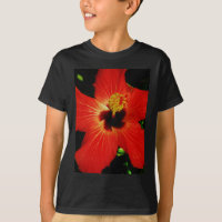 Bright Red Orange Hibiscus Flower