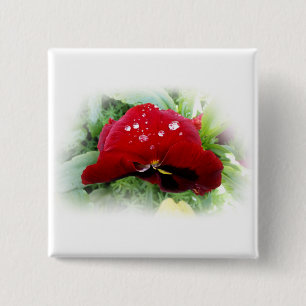 Bright red pansy 2 inch square button
