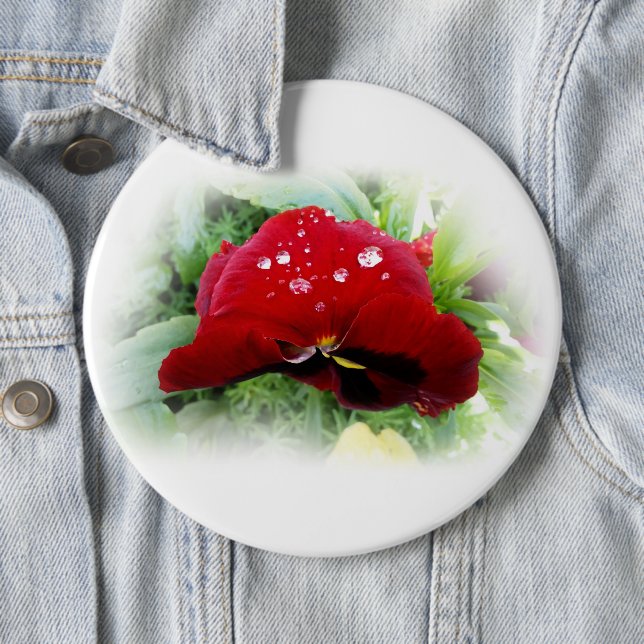 Bright red pansy 6 inch round button (In Situ)
