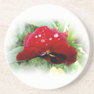 Bright red pansy coaster