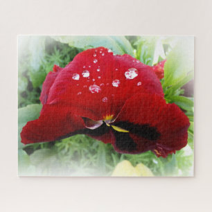 Bright red pansy jigsaw puzzle