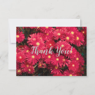 Bright Red Pink Wild FlowersThank You Flat Card