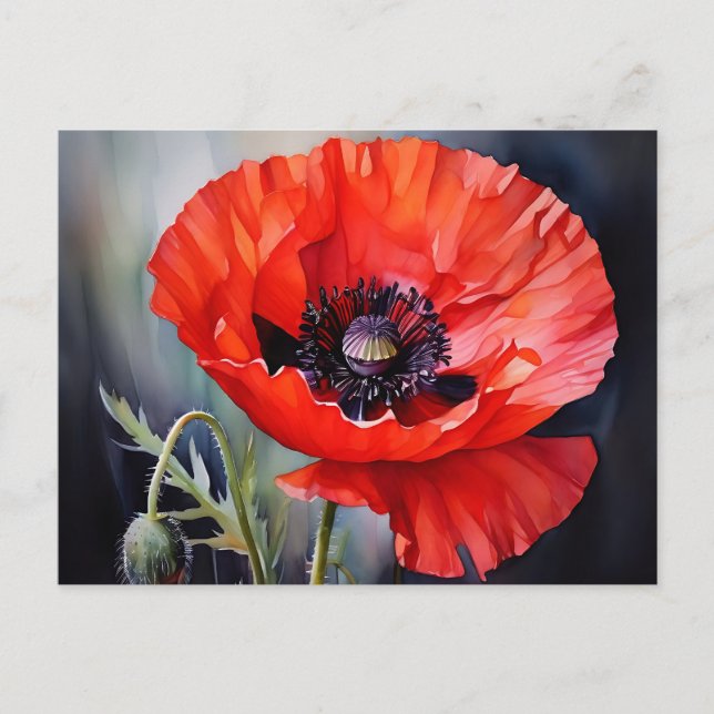 Bright Red Poppy with Dark Centre Postcard (Front)