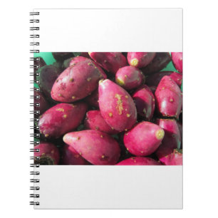 Bright Red Prickly Pear Cactus Fruit Notebook