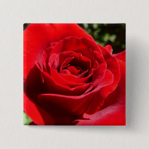 Bright Red Rose Flower Beautiful Floral 2 Inch Square Button