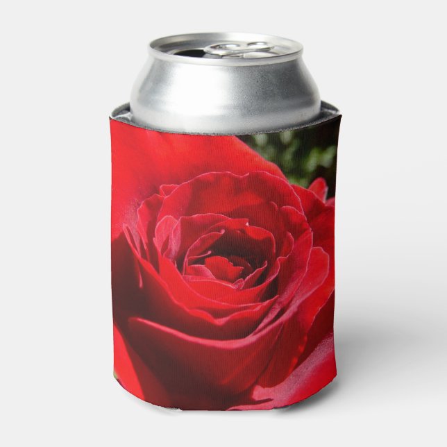 Bright Red Rose Flower Beautiful Floral Can Cooler (Can Front)
