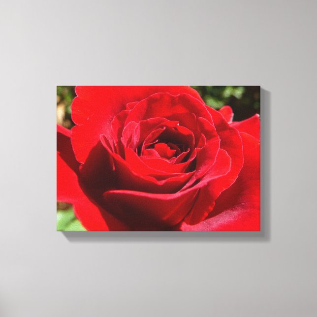 Bright Red Rose Flower Beautiful Floral Canvas Print (Front)
