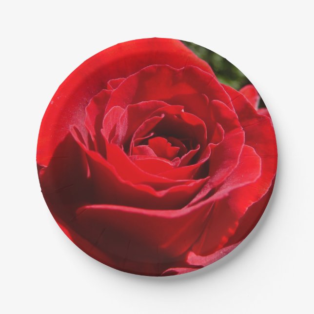 Bright Red Rose Flower Beautiful Floral Paper Plate (Front)