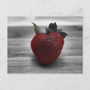Bright Red Strawberry on Black and White Postcard