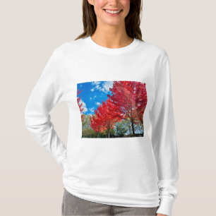 Bright Red Tree Leaves In Autumn T-Shirt