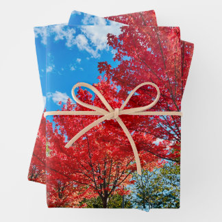 Bright Red Tree Leaves In Autumn Wrapping Paper Sheet