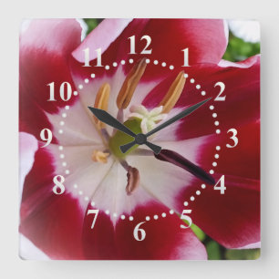 bright red tulip square wall clock
