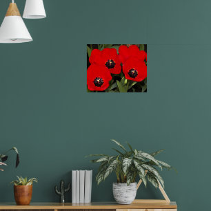 Bright Red Tulips Floral Photographic Poster