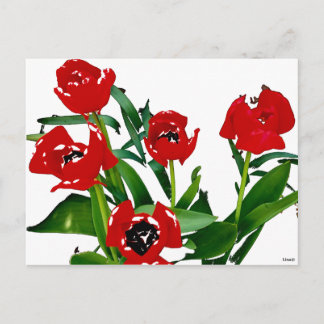 Bright Red Tulips Postcard