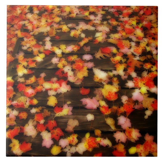 Bright Red Yellow Autumn Maple Leaves Tile (Front)
