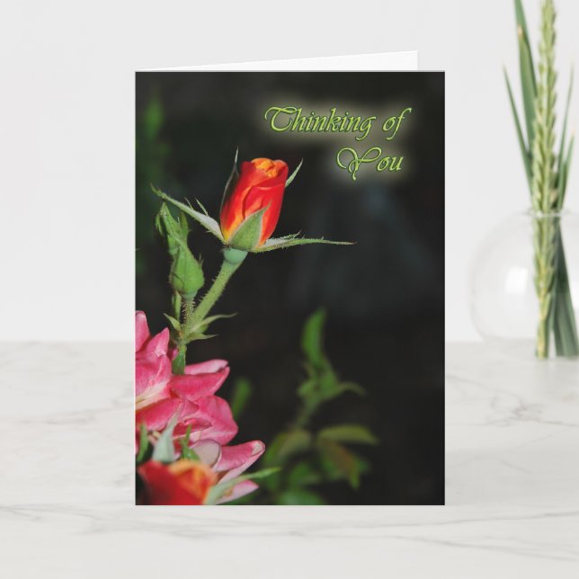 Bright Rose Sympathy Greeting Card (Front)