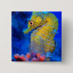 Bright Seahorse Hippocampus 2 Inch Square Button