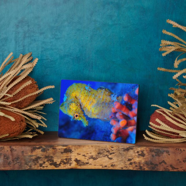 Bright Seahorse | Hippocampus Plaque (Side)