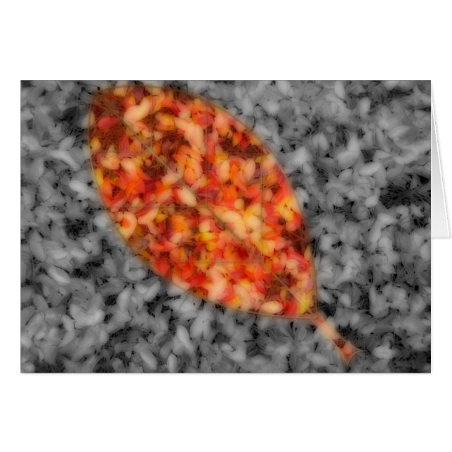 Bright Shadows Card (Front Horizontal)