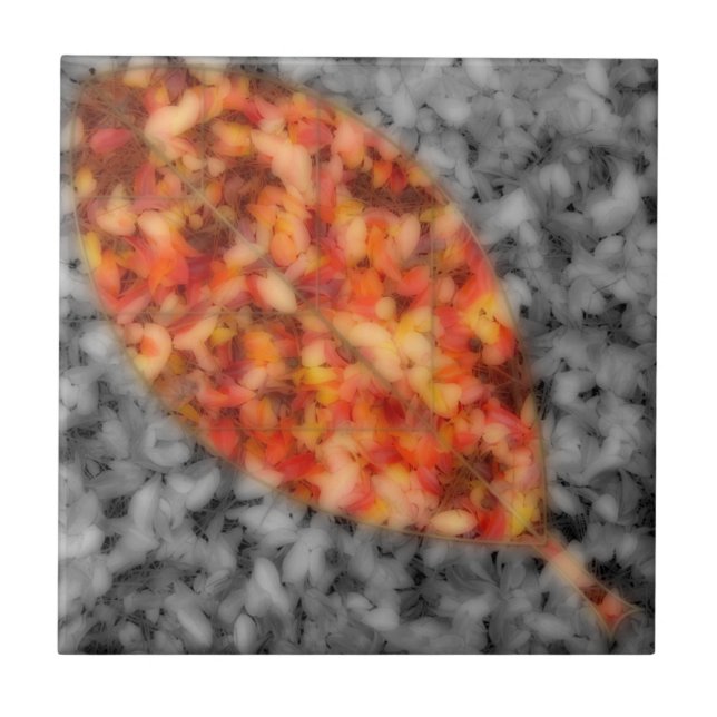 Bright Shadows Decorative Tile (Front)