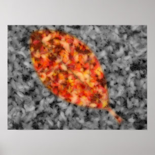 Bright Shadows Print