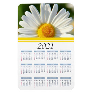 Bright Shasta Daisy   2021 Floral Calendar Magnet
