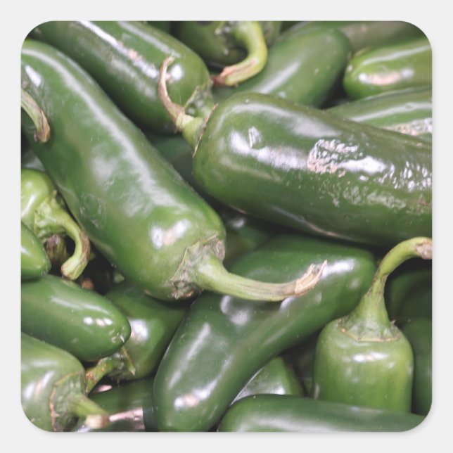 Bright Shiny Green Jalapeno Peppers Pile Photo Square Sticker (Front)