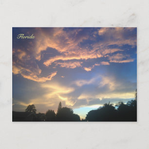 Bright Skies Postcard