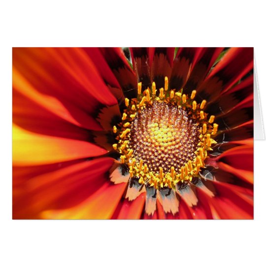 Bright Spark Card