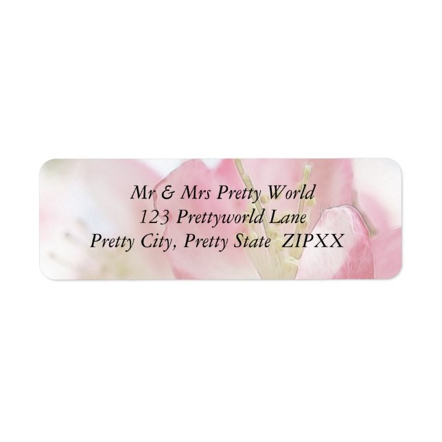 Bright Spring Apple Blossings (Devant)