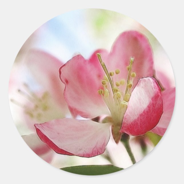 Bright Spring Apple Blossoms Classic Round Sticker (Front)