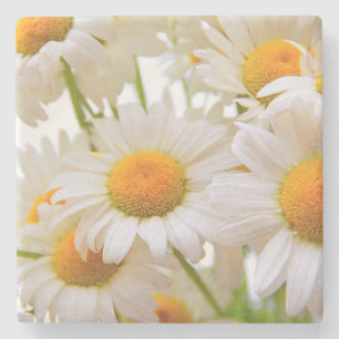 Bright Summer Daisies Flowers Stone Coaster