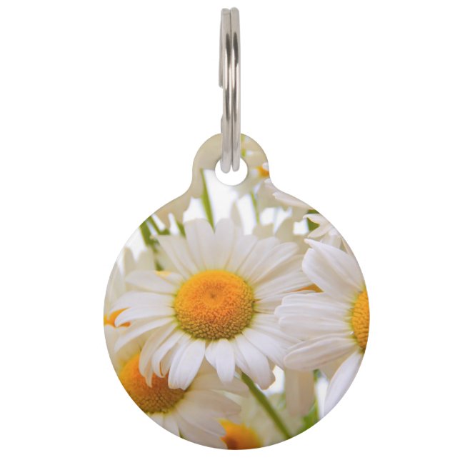 Bright Summer Daisies Pet Tag (Front)