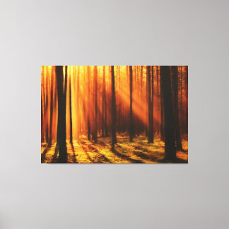 bright sun shines through the forest canvas print