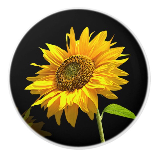 Bright Sunflower on Black Background Ceramic Knob (Front)